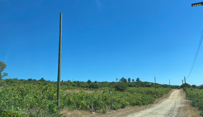 Parcelas 5.000 m² en Santa Rosa Maule